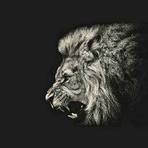 Meet your Posher, Rahim